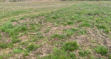 Langon Terrain à bâtir - 2461184-11795annonce420260319nIVee.jpeg Maisons France Confort