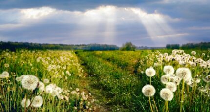 Grézac Terrain à bâtir - 2461238-11644annonce120260319OEhI8.jpeg Maisons France Confort