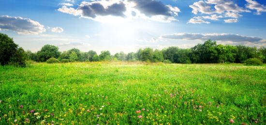 Terrain à bâtir à Semussac, Nouvelle-Aquitaine