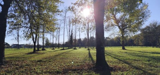 Terrain à bâtir à Queyrac, Nouvelle-Aquitaine