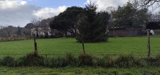 Terrain à bâtir à , Gironde