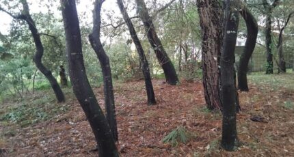 Soulac-sur-Mer Maison neuve - 2408869-11260annonce220251211Woknw.jpeg Maisons France Confort