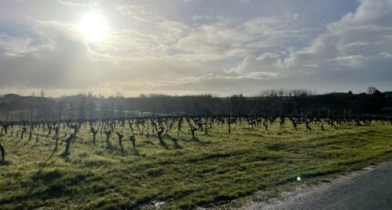 Blaye Maison neuve - 2433810-11252annonce120260218ac013.jpeg Maisons France Confort