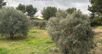 Saint-Chamas Maison neuve - 2462632-11837annonce1202603204kxyl.jpeg Maisons France Confort