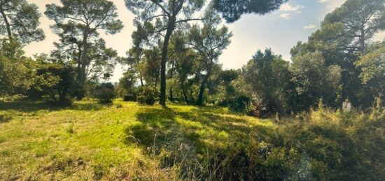 Terrain à bâtir à Sanary-sur-Mer, Provence-Alpes-Côte d'Azur
