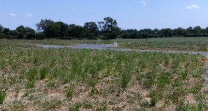 La Membrolle-sur-Longuenée Maison neuve - 2395154-10544annonce120260116nfqTx.jpeg Maisons France Confort