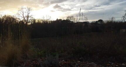 Castelnau-d'Estrétefonds Terrain à bâtir - 2462420-5202annonce320260320BStIe.jpeg Maisons France Confort