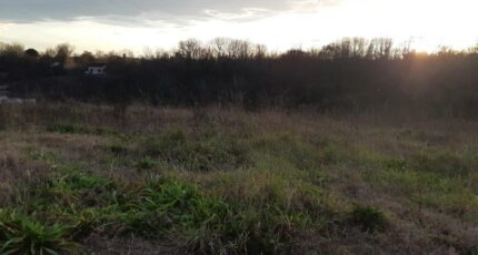 Castelnau-d'Estrétefonds Maison neuve - 2462439-5202annonce1202603201ZLLp.jpeg Maisons France Confort