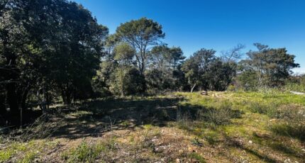 Le Thoronet Terrain à bâtir - 2463164-4529annonce120260320ba0WN.jpeg Maisons France Confort