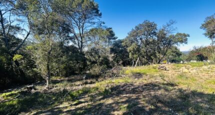 Le Thoronet Terrain à bâtir - 2463164-4529annonce320260320MTh3V.jpeg Maisons France Confort