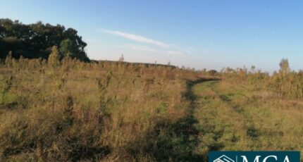 Préchacq-les-Bains Terrain à bâtir - 2463215-5828annonce120250320TMHO7.jpeg Maisons France Confort