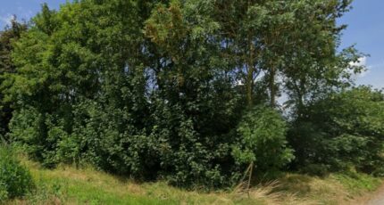 Rumilly-en-Cambrésis Terrain à bâtir - 2428811-7246annonce120260213PD4Jt.jpeg Maisons France Confort