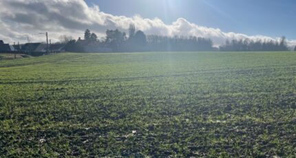 Divion Maison neuve - 2460981-10222annonce2202603182W2NW.jpeg Maisons France Confort