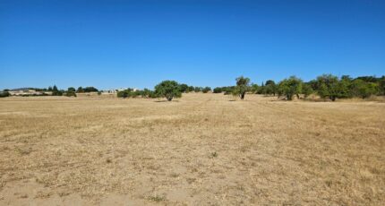 Pertuis Terrain à bâtir - 2462939-2970annonce2202603204hTaK.jpeg Maisons France Confort