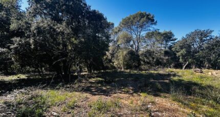 Le Thoronet Maison neuve - 2463232-4529annonce220260320PXvpC.jpeg Maisons France Confort