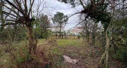 Le Taillan-Médoc Maison neuve - 2421384-11726annonce220260206lsblO.jpeg Maisons France Confort