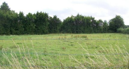 Delincourt Maison neuve - 2462793-3326annonce120260320rrtM0.jpeg Maisons France Confort