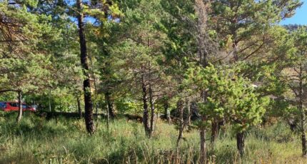 Levens Maison neuve - 2463664-10316annonce4202603214TByC.jpeg Maisons France Confort