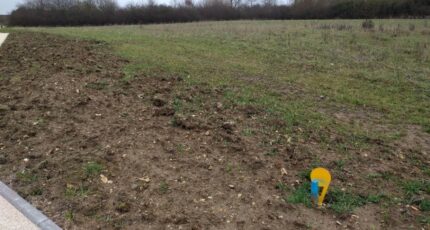 Saint-Fargeau-Ponthierry Terrain à bâtir - 2463504-11705annonce420260320vffMH.jpeg Maisons France Confort