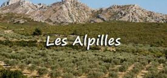 Terrain à bâtir à Sénas, Provence-Alpes-Côte d'Azur