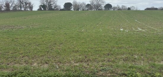 Terrain à bâtir à La Réole, Nouvelle-Aquitaine