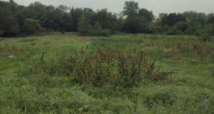 Kunheim Maison neuve - 2400184-5767annonce120260121Cwz57.jpeg Maisons France Confort