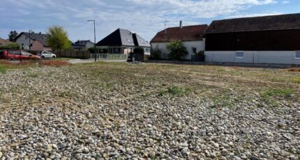 Bantzenheim Terrain à bâtir - 2372188-11028annonce220250424n1WmI.jpeg Maisons France Confort