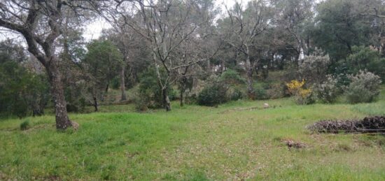 Terrain à bâtir à Carnoules, Provence-Alpes-Côte d'Azur