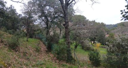 Carnoules Terrain à bâtir - 2462396-5922annonce320260320VWuqv.jpeg Maisons France Confort