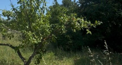 Aubagne Maison neuve - 2391257-7054annonce320260113KS7g0.jpeg Maisons France Confort