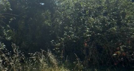 Aubagne Maison neuve - 2391257-7054annonce120260113qBUFM.jpeg Maisons France Confort