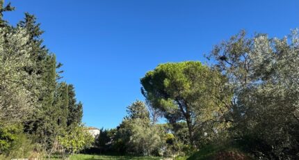 Éguilles Terrain à bâtir - 2464686-2699annonce120260323kNrpP.jpeg Maisons France Confort