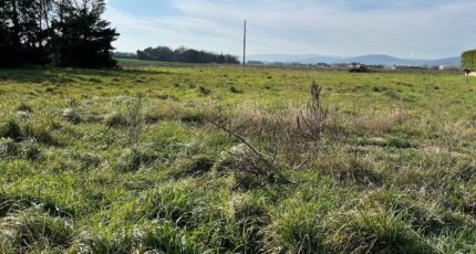 Cléon-d'Andran Terrain à bâtir - 2464563-812annonce320251103cbbDV.jpeg Maisons France Confort