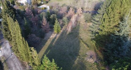 Allan Terrain à bâtir - 2465033-812annonce420241105KiTst.jpeg Maisons France Confort