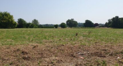 La Lande-de-Fronsac Maison neuve - 2439826-11015annonce120260224GpCT6.jpeg Maisons France Confort