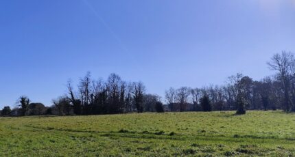 Cussac-Fort-Médoc Terrain à bâtir - 2465333-11260annonce120260324I3apT.jpeg Maisons France Confort