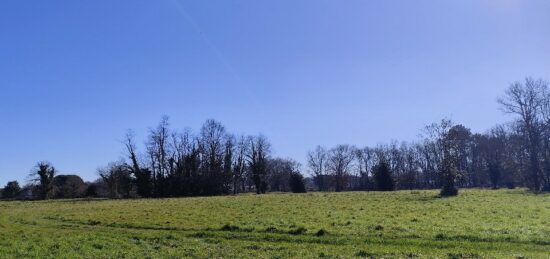 Terrain à bâtir à Cussac-Fort-Médoc, Nouvelle-Aquitaine