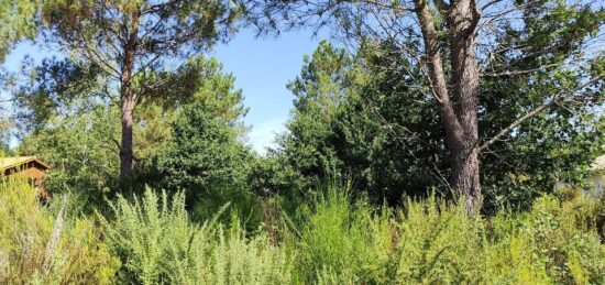 Terrain à bâtir à Vendays-Montalivet, Nouvelle-Aquitaine