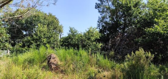 Terrain à bâtir à , Gironde