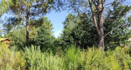 Vendays-Montalivet Maison neuve - 2462484-11260annonce1202603205qbwg.jpeg Maisons France Confort