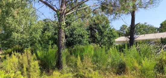 Terrain à bâtir à Vendays-Montalivet, Nouvelle-Aquitaine