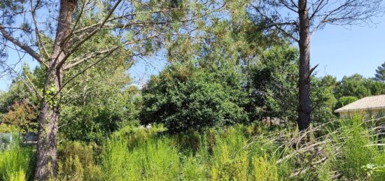 Terrain à bâtir à , Gironde