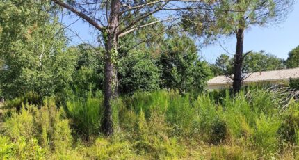 Vendays-Montalivet Maison neuve - 2462500-11260annonce120260320nygKz.jpeg Maisons France Confort