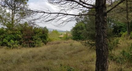 Carcassonne Terrain à bâtir - 2366344-11456annonce12025062075uXl.jpeg Maisons France Confort