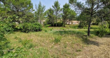 Fontiès-d'Aude Maison neuve - 2368736-11456annonce220250821uXO9w.jpeg Maisons France Confort