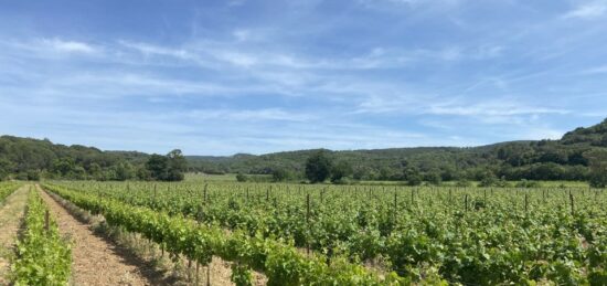 Terrain à bâtir à Lézignan-Corbières, Occitanie
