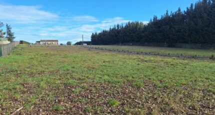 Montréal Maison neuve - 2431070-10986annonce120260216C2aiK.jpeg Maisons France Confort