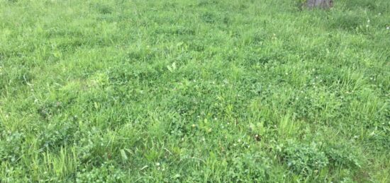 Terrain à bâtir à , Ain