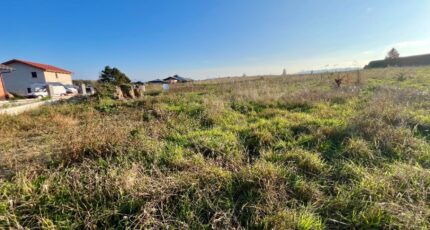 Bellegarde-sur-Valserine Maison neuve - 2431234-754annonce220260217X78yP.jpeg Maisons France Confort