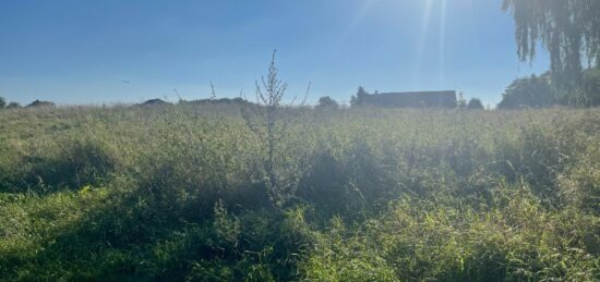 Terrain à bâtir à Marolles-sur-Seine, Île-de-France